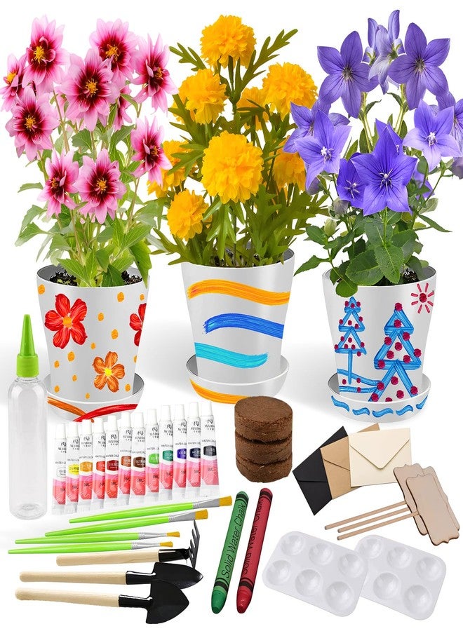Ozzagar Paint & Plant Children’s Gardening Kit for Girls Boys Toys Garden Flower Gardening Gift for Kids Flower Pots Seeds Art Craft Grow Garden Planting Set for Kids Age 4 5 6 7 8 9 10 11 12 13 14 Years Old - Image 1