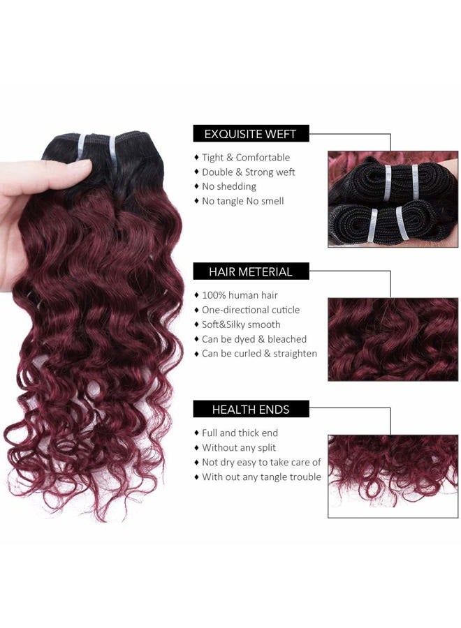4 Bundles Deep Wave Short Bob Style Ombre 1B/99J Virgin Human Hair Bundles 50g Two Tone Burgundy Red Brazilian Hair Weave 14”