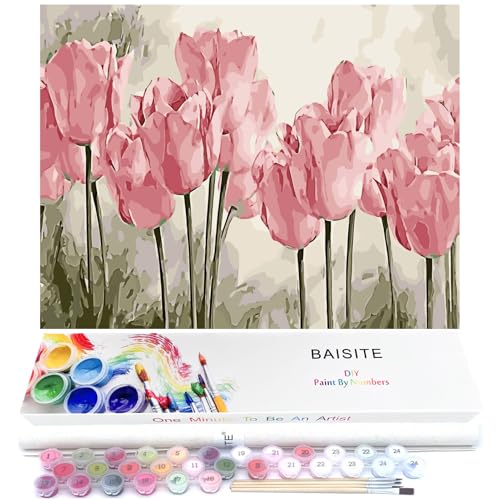 BAISITE Paint by Numbers Kit for Adults Beginners,20" Wx16 L Canvas for Painting Kits for Adults in Colorful Box Poppy Flowers-BSC002 - Image 1