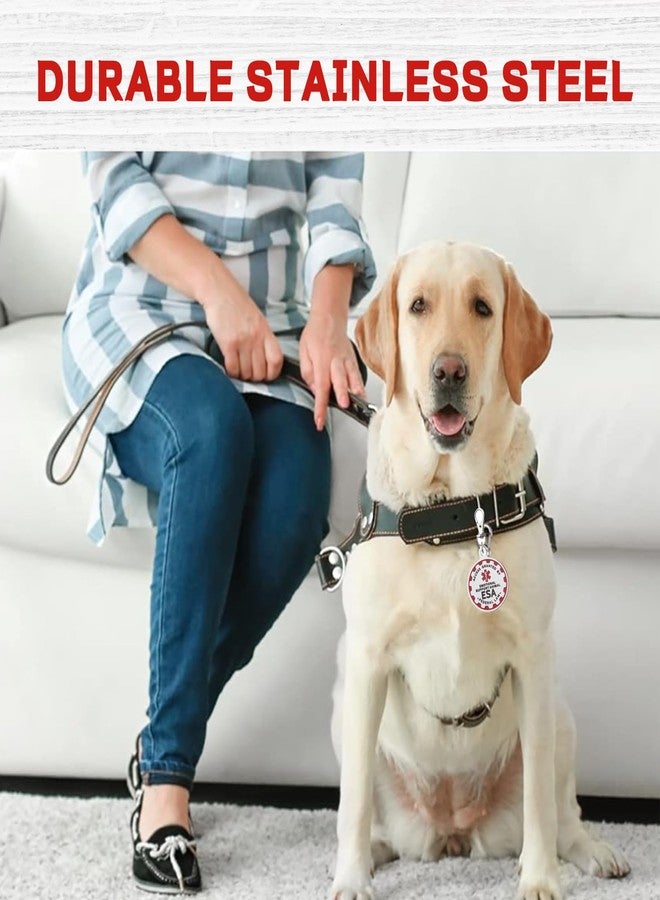 يافيجي بطاقة تعريف كلب الخدمة YAFIYGI، بطاقة تعريف كلب الخدمة محفورة، مصنوعة من الفولاذ المقاوم للصدأ المطلي بالمينا، بطاقة تعريف عادية لكلاب الدعم العاطفي، مناسبة للكلاب الكبيرة والقطط، أطواق، سترات، أحزمة، شارة اسم أساسية - Image 2