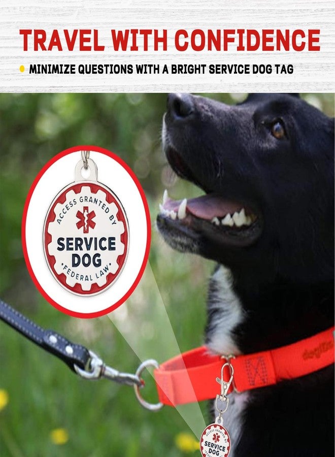 يافيجي بطاقة تعريف كلب الخدمة YAFIYGI، بطاقة تعريف كلب الخدمة محفورة، مصنوعة من الفولاذ المقاوم للصدأ المطلي بالمينا، بطاقة تعريف عادية لكلاب الدعم العاطفي، مناسبة للكلاب الكبيرة والقطط، أطواق، سترات، أحزمة، شارة اسم أساسية - Image 3