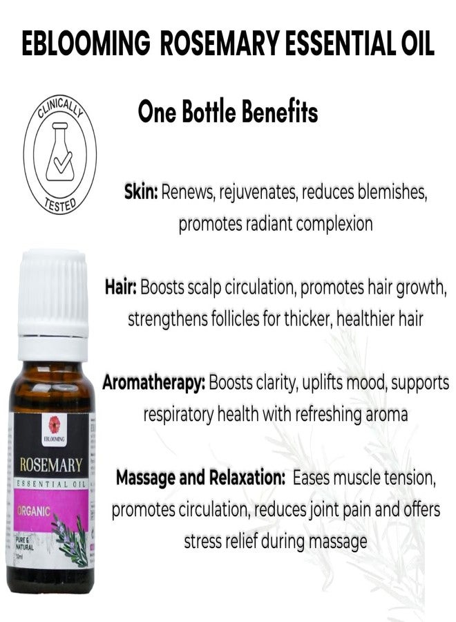 Eblooming Rosemary Essential Oil- 10ml, Clinically Tested, Promotes Hair Growth, Controls Hair Fall, Nourishment, Skin Care, Aromatherapy, Massage, Organic, Pure and Natural, Undiluted - Image 3