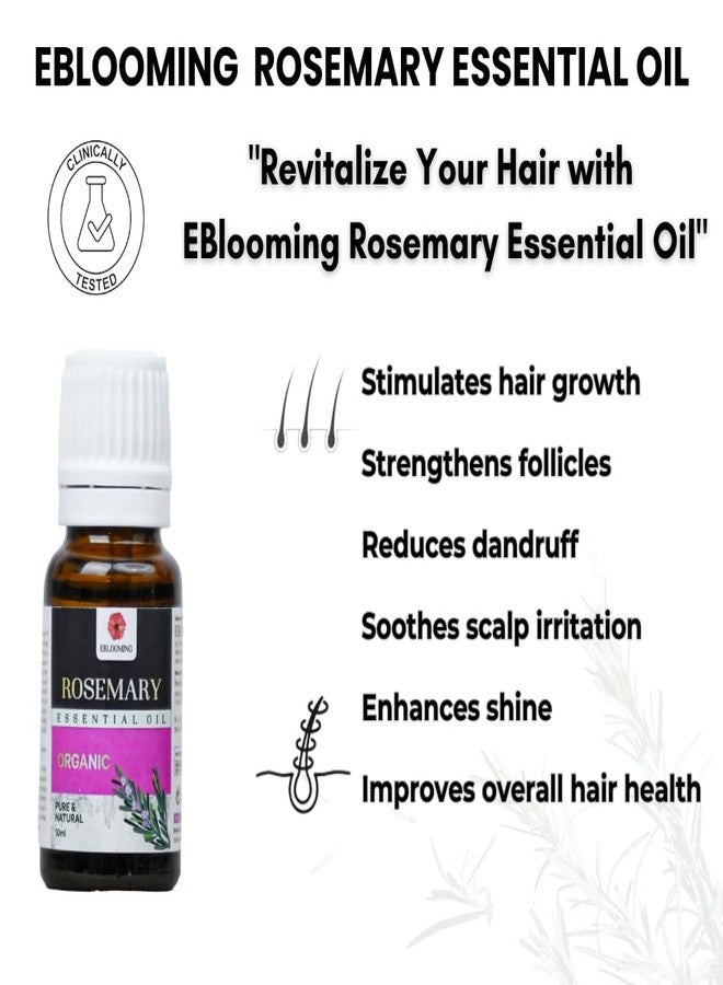 Eblooming Rosemary Essential Oil- 10ml, Clinically Tested, Promotes Hair Growth, Controls Hair Fall, Nourishment, Skin Care, Aromatherapy, Massage, Organic, Pure and Natural, Undiluted - Image 4