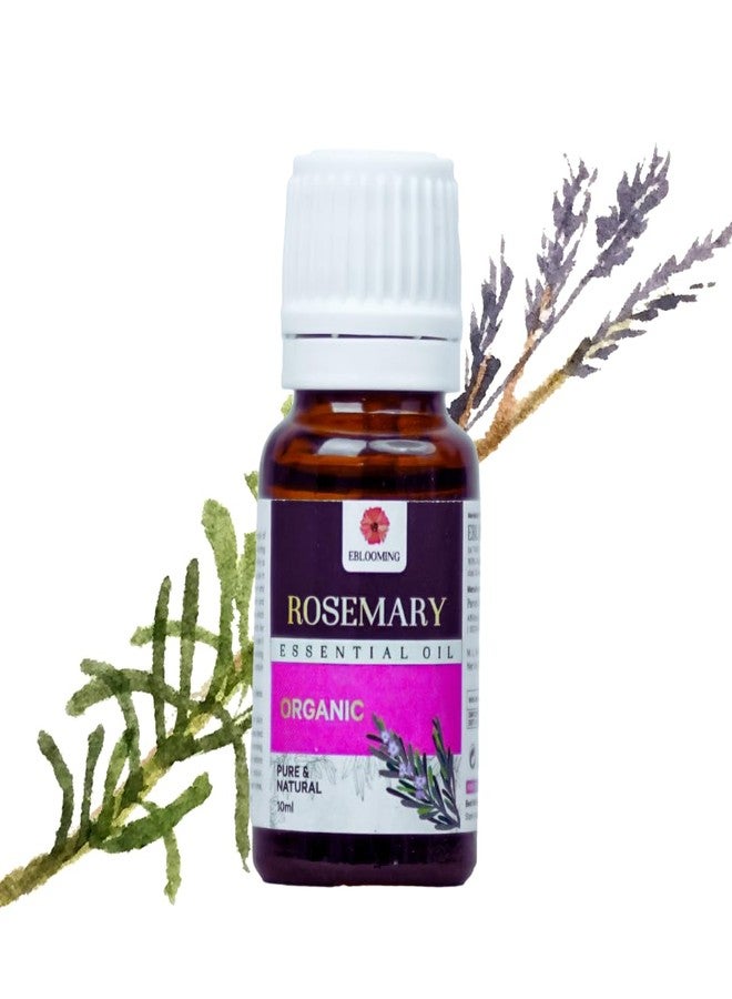 Eblooming Rosemary Essential Oil- 10ml, Clinically Tested, Promotes Hair Growth, Controls Hair Fall, Nourishment, Skin Care, Aromatherapy, Massage, Organic, Pure and Natural, Undiluted - Image 1