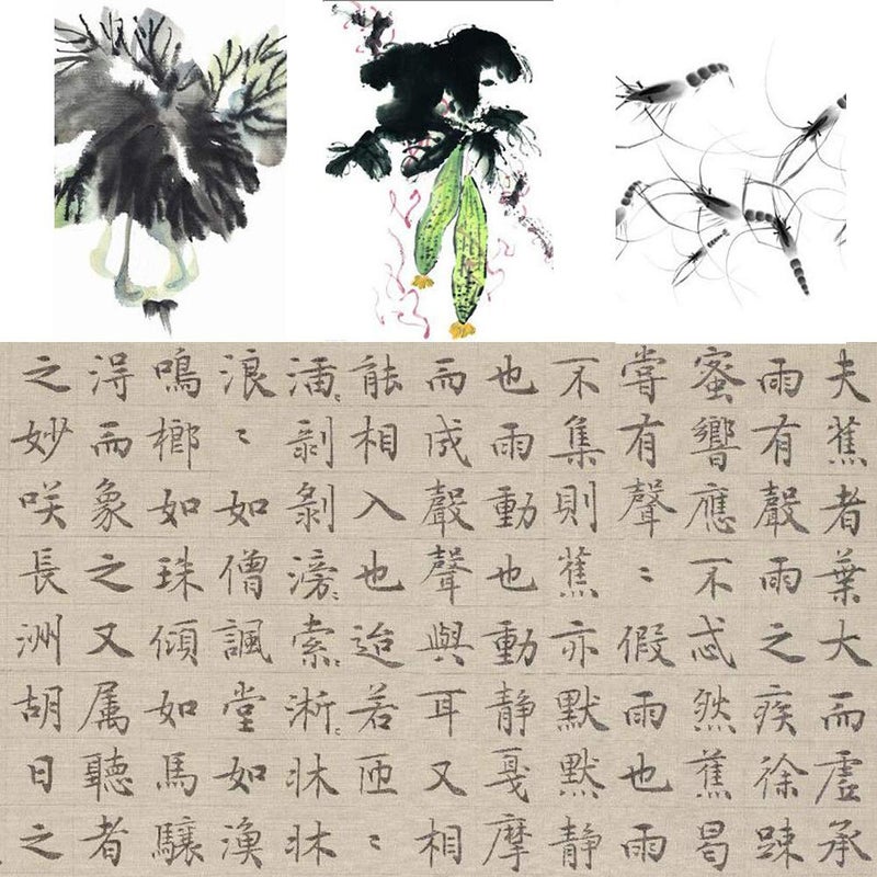 Juedi Chinese Calligraphy Brush Set Chinese Brush Set Watercolor Sumi Drawing Brush Writing Painting Pack of 8 - Image 5