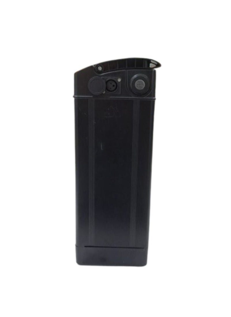 ROHAN WINGS 48v/13AH Lithium Removable Battery  - Image 3