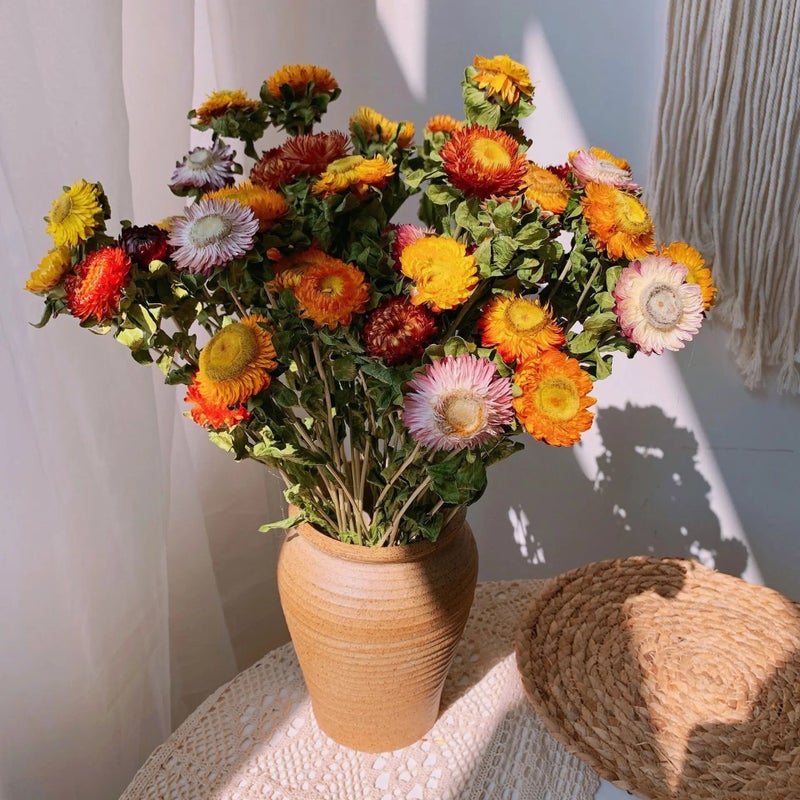 Bluejw Natural Rainbow Dried Chrysanthemum Bouquet - Eco-Friendly Home Decor, Lightly Scented Dried Plants for Lasting Beauty - Image 5