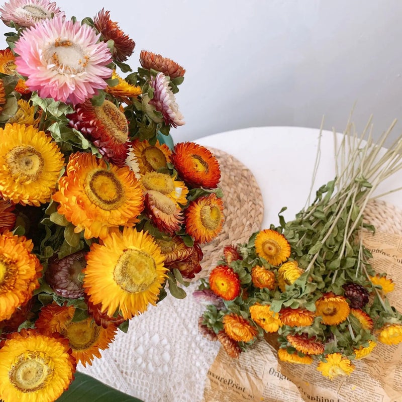 Bluejw Natural Rainbow Dried Chrysanthemum Bouquet - Eco-Friendly Home Decor, Lightly Scented Dried Plants for Lasting Beauty - Image 4