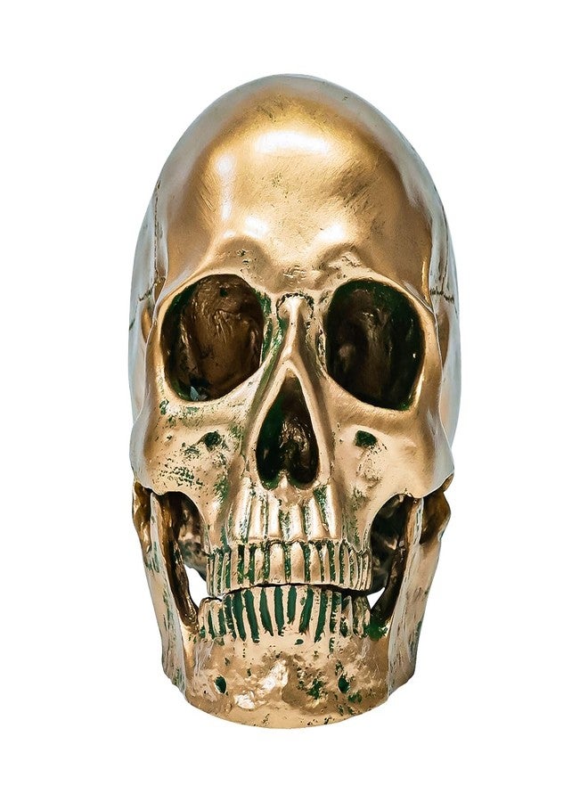 ECYC 1:1 Resin Human Skull Model Halloween Props Home Decorations High Fidelity Skull Head Sculpture Life Size, Bronze - Image 1