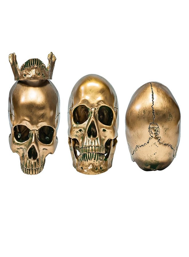 ECYC 1:1 Resin Human Skull Model Halloween Props Home Decorations High Fidelity Skull Head Sculpture Life Size, Bronze - Image 5
