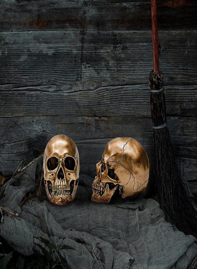 ECYC 1:1 Resin Human Skull Model Halloween Props Home Decorations High Fidelity Skull Head Sculpture Life Size, Bronze - Image 2