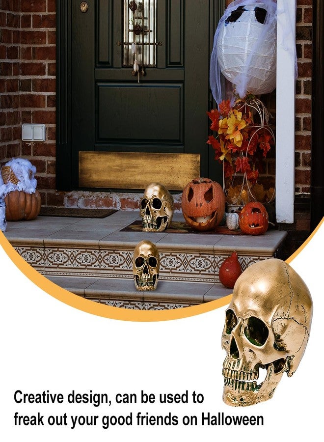 ECYC 1:1 Resin Human Skull Model Halloween Props Home Decorations High Fidelity Skull Head Sculpture Life Size, Bronze - Image 4