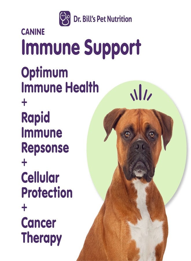 Dr. Bill's Dr. Bill’s Canine Immune Support | Boosts Dog Immunity and Health with Colostrum, Beta Glucan, Turkey Tail Mushroom, Zinc & Vitamin C | Powder Supplement for Dogs of All Ages - Image 3