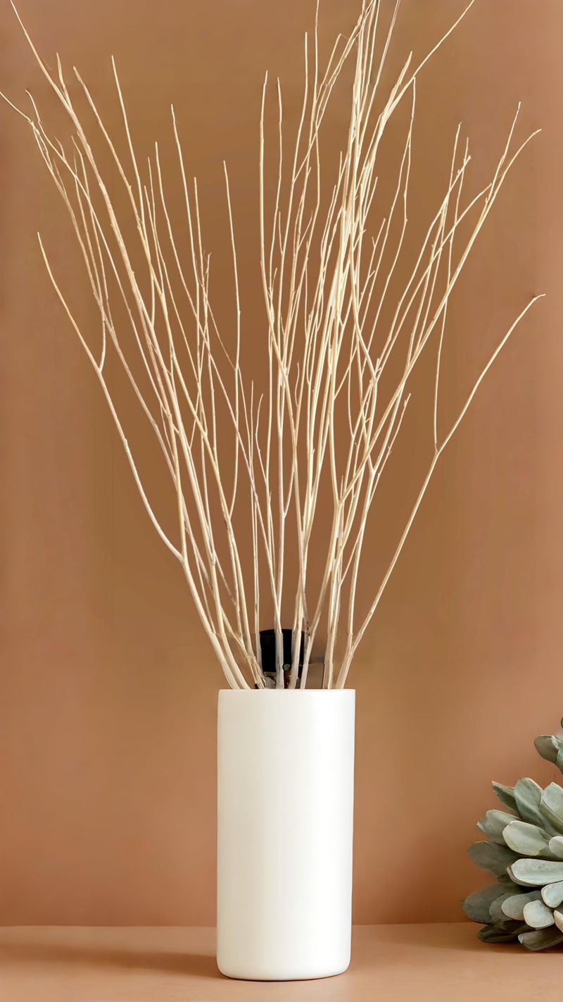 RUKDA 70cm Long Real Dried White Curly Willow Branches – Elegant Natural Stems for Vases, Home & Office Décor, Weddings, Events, and DIY Crafts (5 Stem) - Image 4