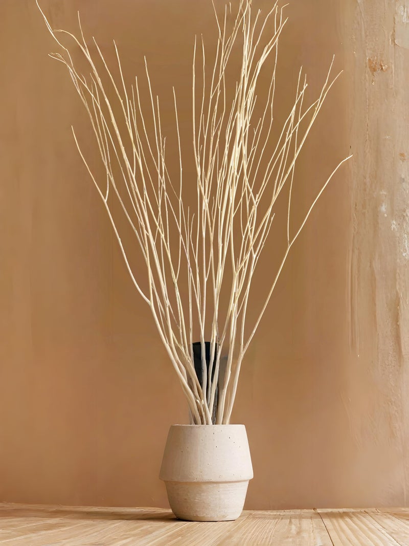 RUKDA 70cm Long Real Dried White Curly Willow Branches – Elegant Natural Stems for Vases, Home & Office Décor, Weddings, Events, and DIY Crafts (5 Stem) - Image 2