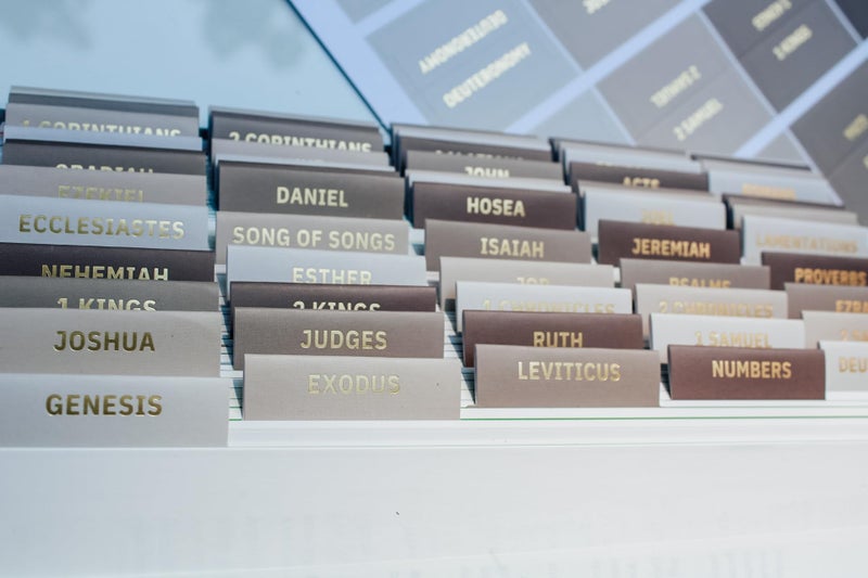 Daybreak 41 Decorative Bible Tabs for Women (96 Pieces) - Earth Tone Neutral Gold Foil Bible Tabs - Laminated Bible Labels Tabs â€“ Remove & Replace Bible Index Tabs - Bible Study Supplies for Women (Oak) - Image 3