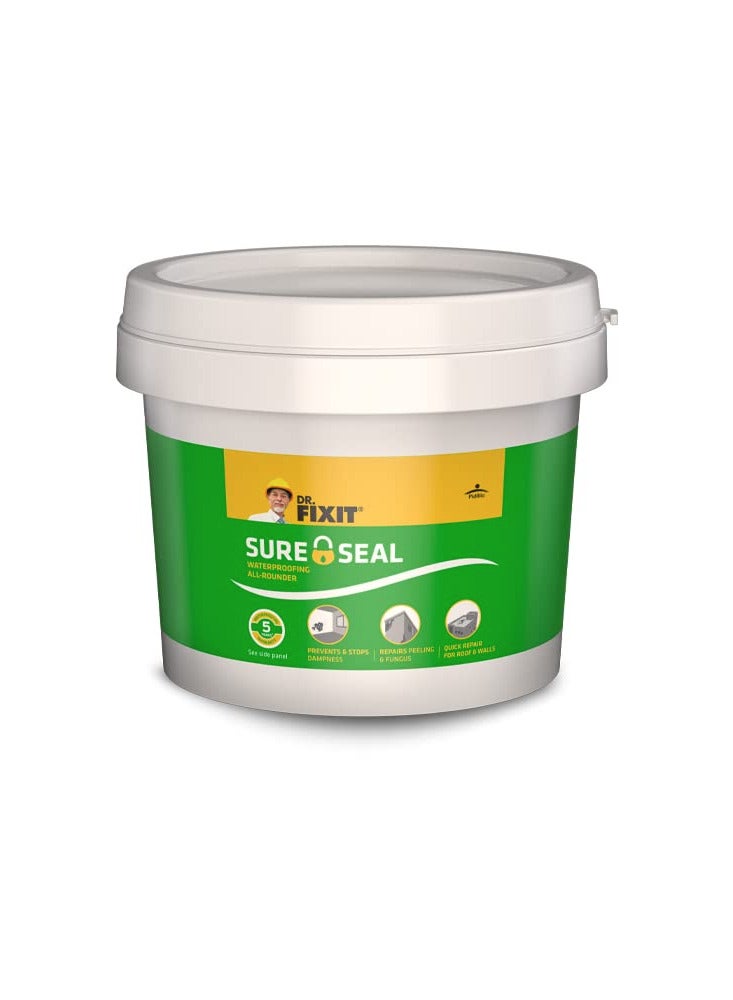 Pidilite Sure Seal Water Proofing All Rounder Internal and External Walls and Roof Patch Repair 1kg - Image 1