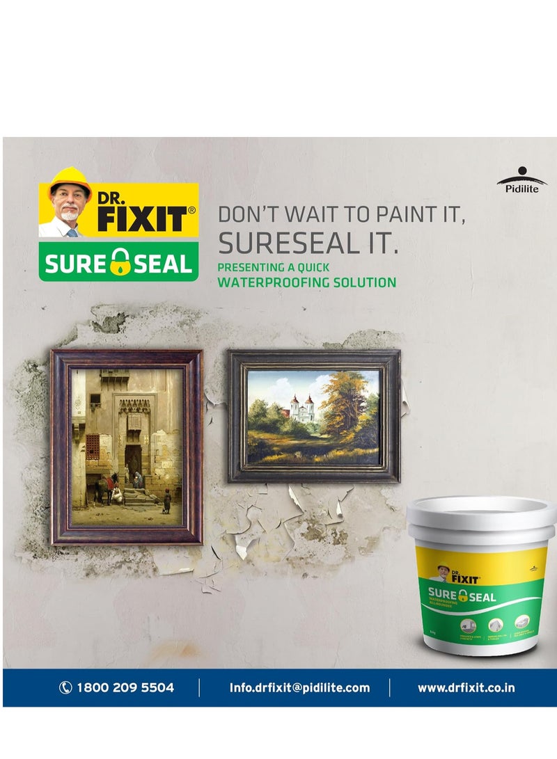 Pidilite Sure Seal Water Proofing All Rounder Internal and External Walls and Roof Patch Repair 1kg - Image 2