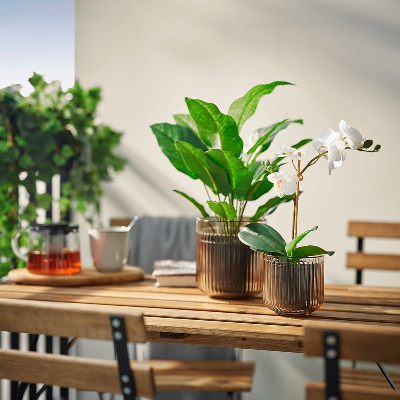 GRADVIS Clear Glass Plant Pot, Indoor/Outdoor, Light Brown, 9 cm - Image 4