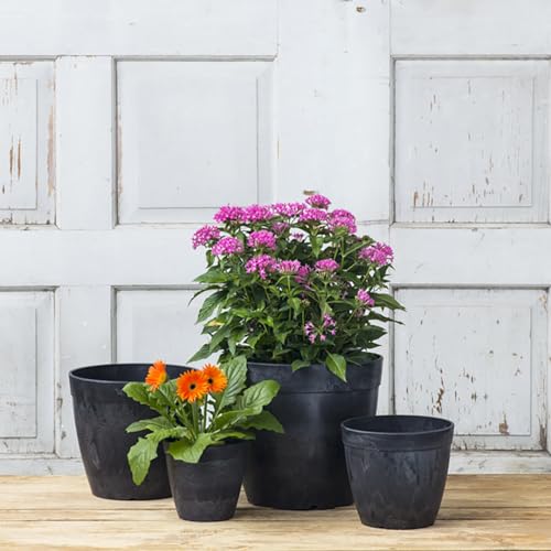 Root & Vessel Dolce Round Planter, Black, 6" - Image 4
