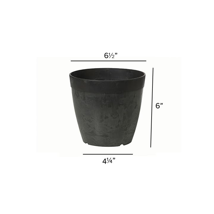Root & Vessel Dolce Round Planter, Black, 6" - Image 2