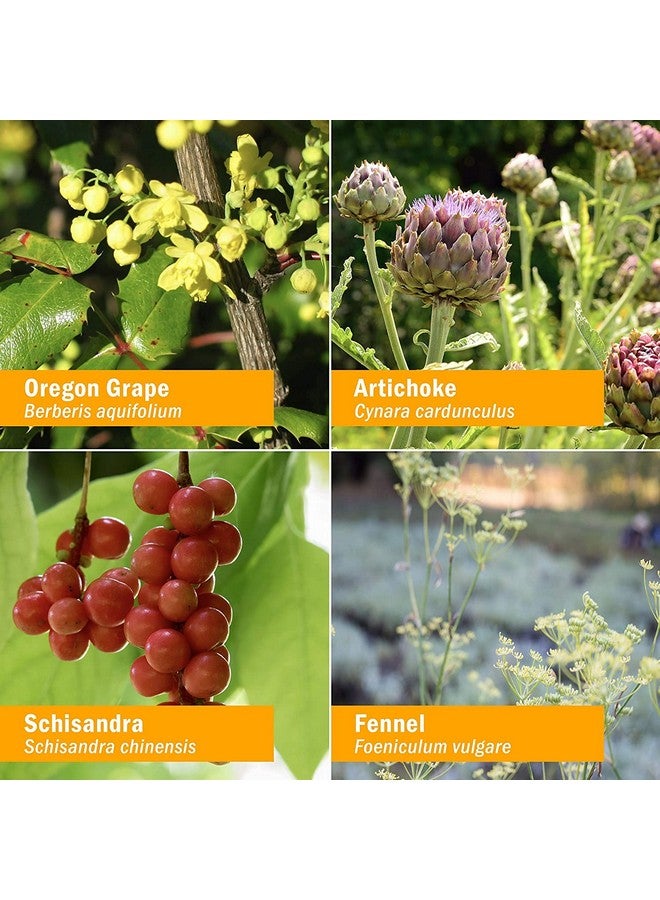 HERB PHARM Liver Health Liquid Herbal Formula For Liver And Gallbladder Support 4 Ounce - Image 5