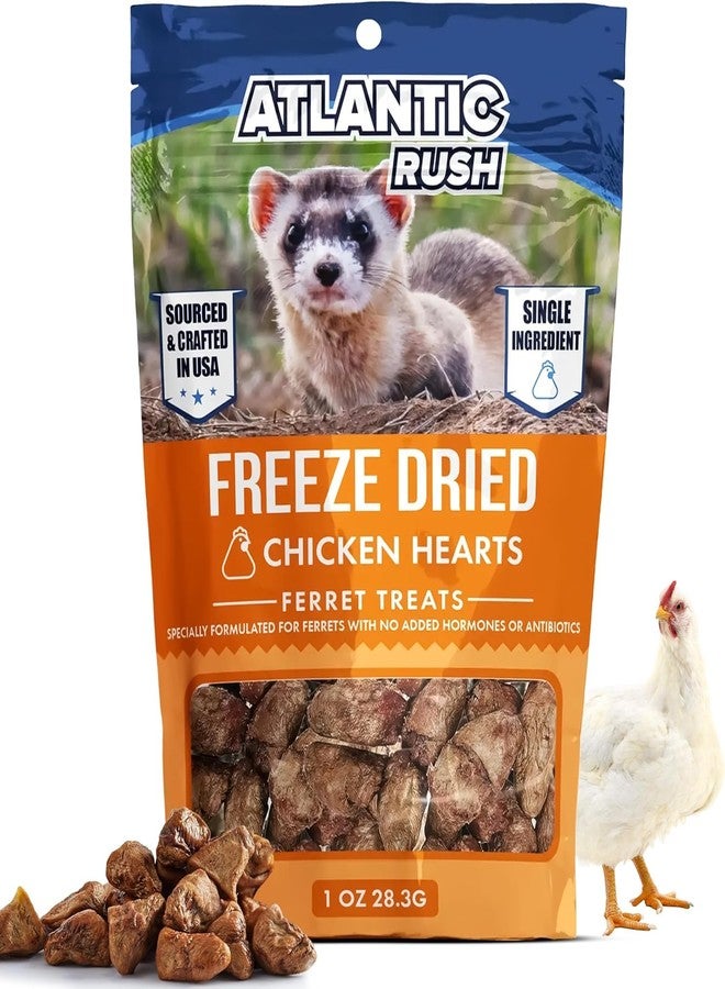 Atlantic Rush Freeze Dried Small Pet Treats - Resealable Bag of Treats for Ferrets - Ferret Snacks - Single Ingredient Ferret Food With No Preservatives Or Fillers- Small Animals Treats (1oz, chicken Heart) - Image 1