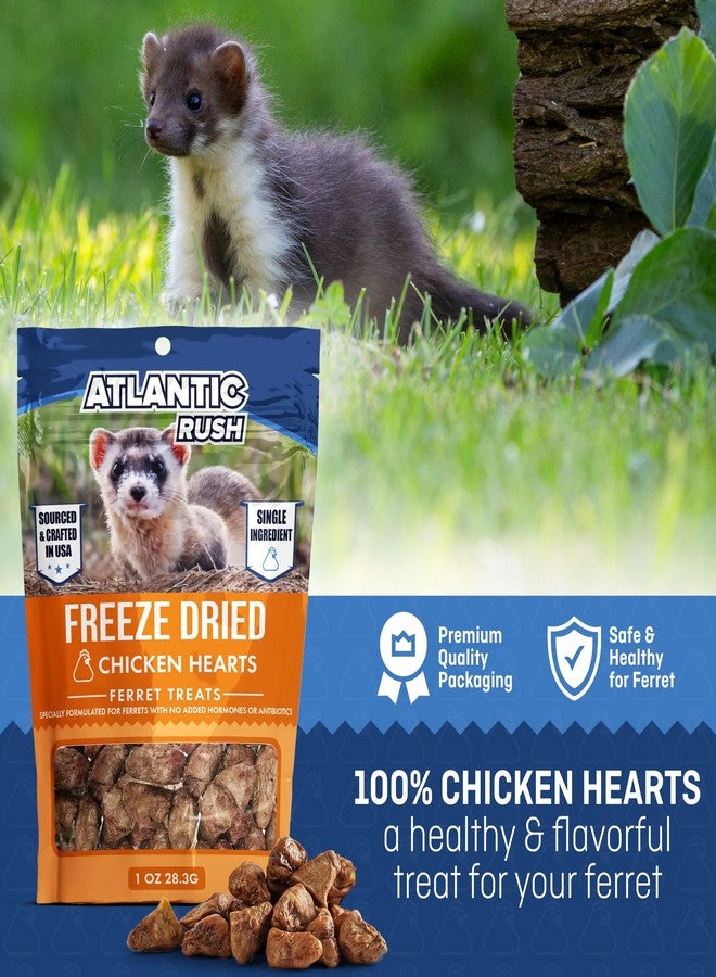 Atlantic Rush Freeze Dried Small Pet Treats - Resealable Bag of Treats for Ferrets - Ferret Snacks - Single Ingredient Ferret Food With No Preservatives Or Fillers- Small Animals Treats (1oz, chicken Heart) - Image 2