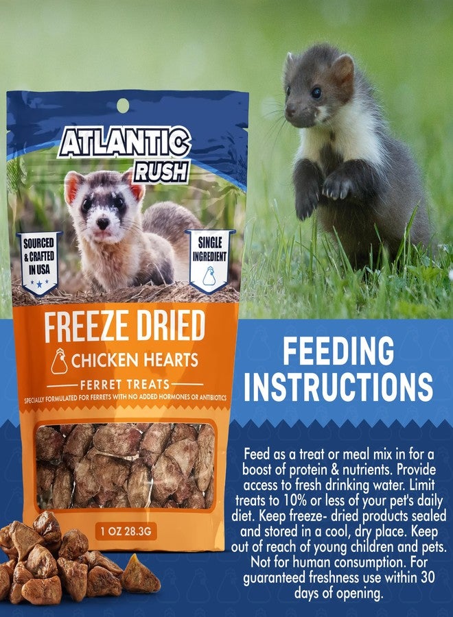 Atlantic Rush Freeze Dried Small Pet Treats - Resealable Bag of Treats for Ferrets - Ferret Snacks - Single Ingredient Ferret Food With No Preservatives Or Fillers- Small Animals Treats (1oz, chicken Heart) - Image 5