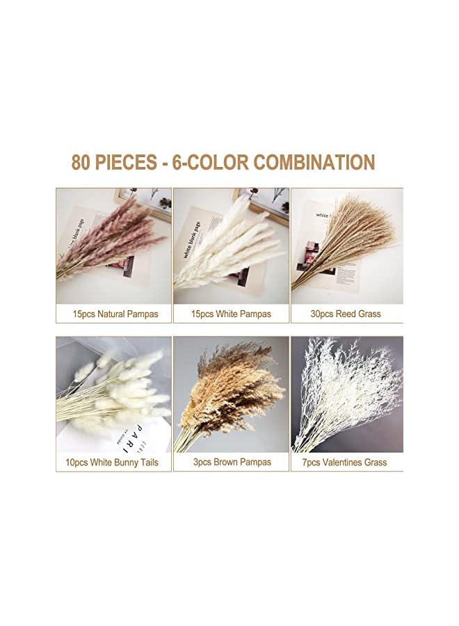 The Bros 80Pcs Dried Pampas Grass Bouquet Pampas Grass Decor Dried Flower Bouquet Boho Decor 6 Kinds of Dried Plants Pompous Grass for Boho Home Decor(Mixed Color) - Image 2