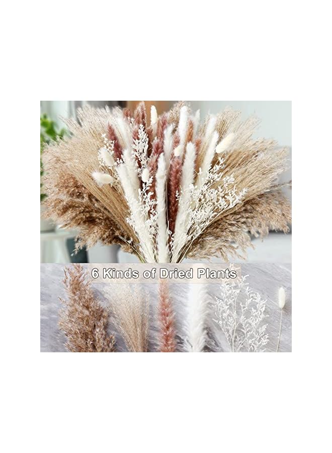 The Bros 80Pcs Dried Pampas Grass Bouquet Pampas Grass Decor Dried Flower Bouquet Boho Decor 6 Kinds of Dried Plants Pompous Grass for Boho Home Decor(Mixed Color) - Image 4
