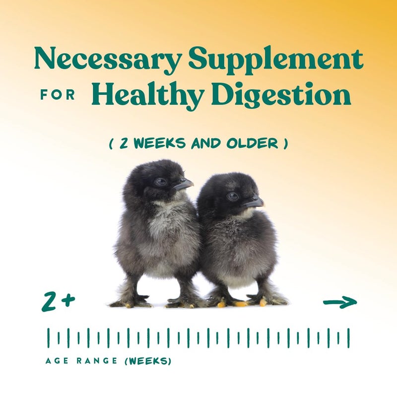 Manna Pro Chick Grit Digestive Supplement for Young Growing Poultry & Bantam Breeds, No Artificial Ingredients or Preservatives, Natural Supplement with Insoluble Crushed Granite, 5 lbs - Image 5