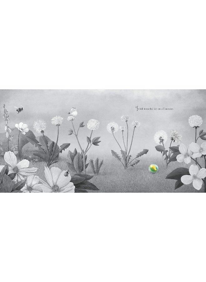 It Fell from the Sky - Image 3