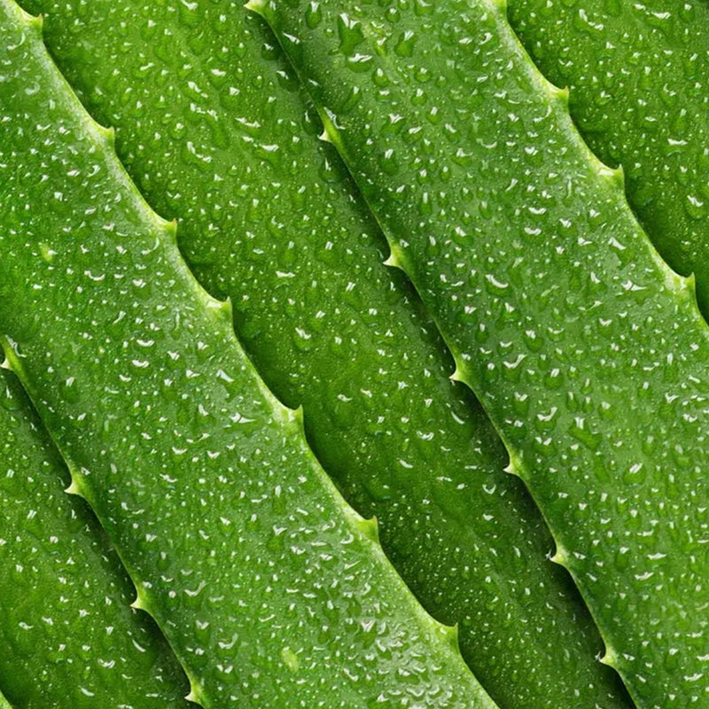 Mario Badescu Aloe Lotion Mild Toner for Face - Soothing & Refreshing Aloe-infused Pore Cleanser Skin Care - Face Toner to Calm, Soothe & Refresh Skin, 8 Fl Oz - Image 3