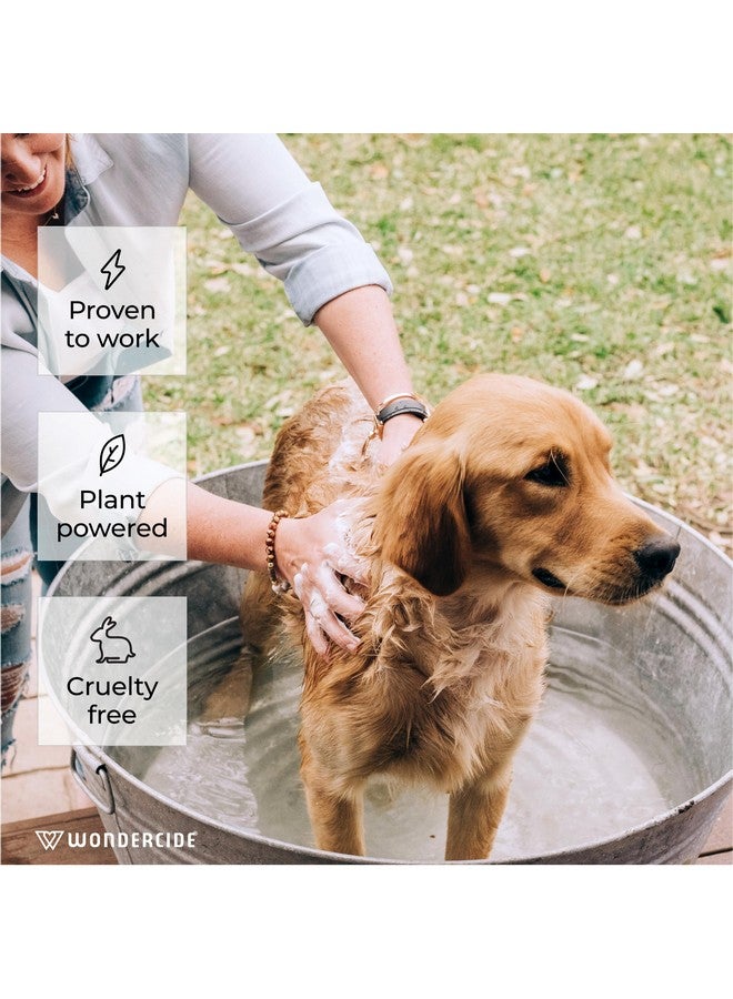 وندر سايد شامبو البراغيث والقراد للكلاب والقطط - علاج قاتل للبراغيث والقراد بالزيوت العطرية الطبيعية - للحيوانات الأليفة التي يزيد عمرها عن 4 أشهر - مدعم بالنباتات - 12 أونصة سائلة - Image 2
