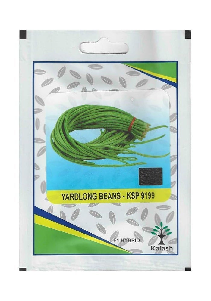 Kalash Yardlong Beans KSP 9199 F1 Hybrid Premium Quality Seeds
