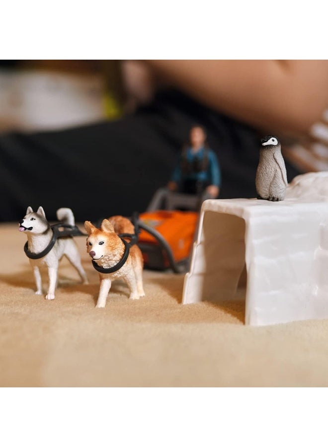Schleich مجموعة ألعاب الحيوانات البرية من شلايش للأطفال من عمر 3 سنوات فما فوق، بعثة القطب الجنوبي مع الحيوانات القطبية - Image 3