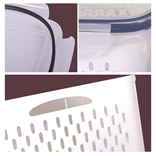 LWVAX Fridge Storage Container Set With Removable Colander For Fruit Vegetable - Dishwasher & Microwave Safe Produce Food Storage Containers - Image 5