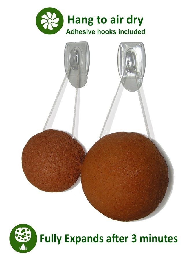 Neutripure Konjac Sponge Set: Organic Skincare Facial for Natural Exfoliating and Deep Pore Cleansing 5 Piece Sampler Pack Infused with Charcoal, Turmeric, Green Tea - Image 2