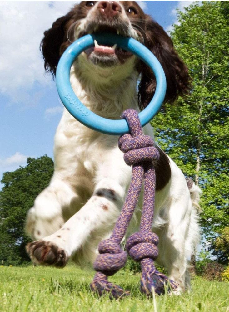 Beco Pets Beco Natural Rubber Hope on Rope Dog Toy Multicolor - Image 4