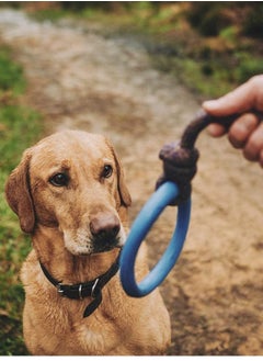 Beco Pets Beco Natural Rubber Hope on Rope Dog Toy Multicolor  - Image 3