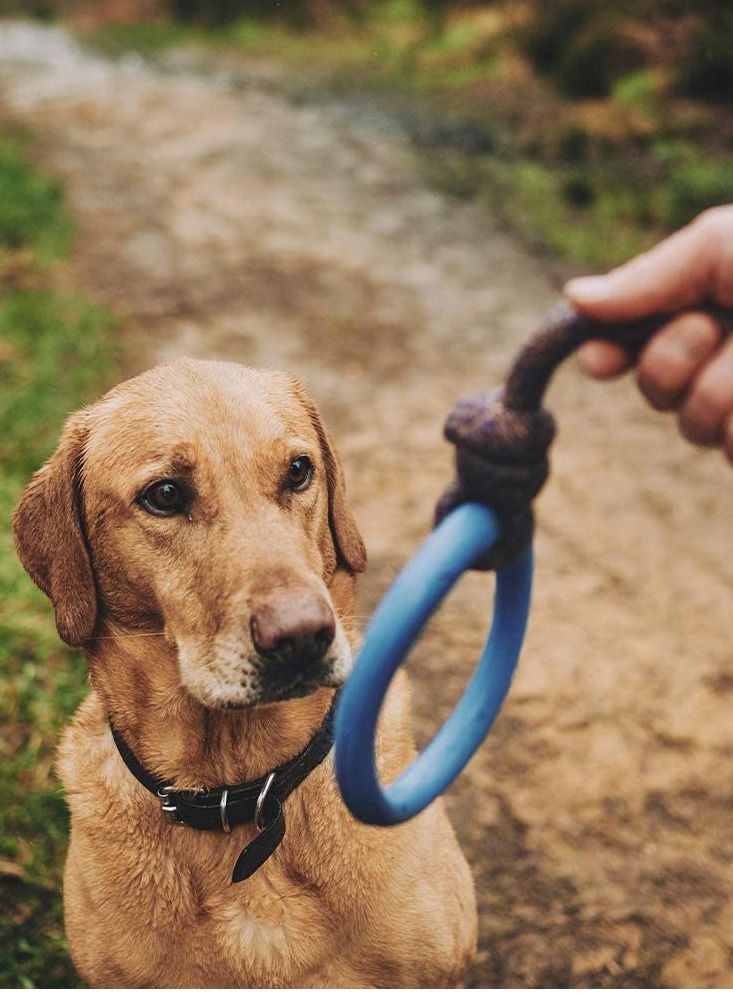 Beco Pets Beco Natural Rubber Hope on Rope Dog Toy Multicolor - Image 3
