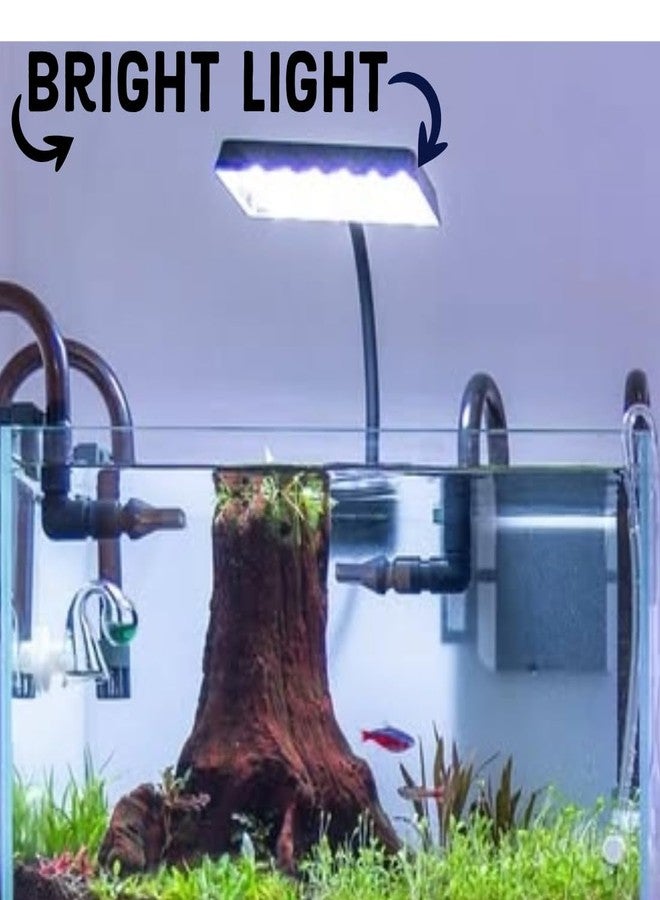 Scroll Store RS Electrials RS-S13 Aquarium Lights | Clip on Fish Tank Light | 12W | 360 Degree | Suitable Upto 12mm Thickness Glass - Image 2