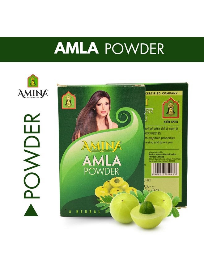أمينا مسحوق الأملا من أمينة، عبوة 80 جرام، مكمل عشبي أيورفيدي - Image 2