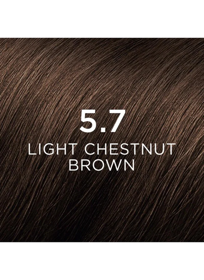 Phyto Phytocolor 5.7 light chestnut brown