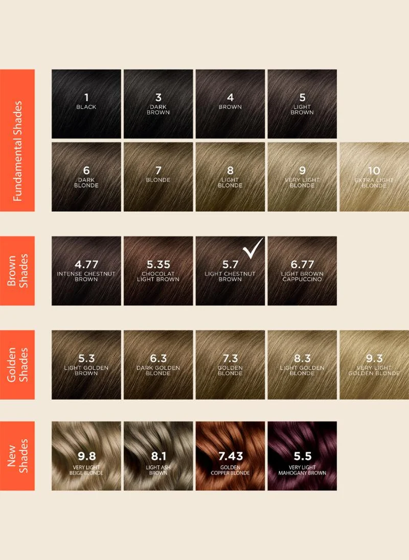 Phyto Phytocolor 5.7 light chestnut brown