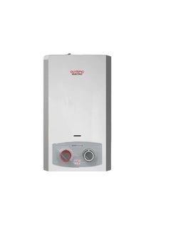 Gas water heater, digital, 10 liters, with natural gas chimney and adapter, silver 945105583 - pzsku/Z4A2B9EB8E9F3D917EFF0Z/45/_/1704100015/54c45b21-ac99-4b76-8759-442ca1a10749