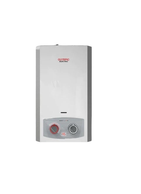Gas water heater, digital, 10 liters, with natural gas chimney and adapter, silver 945105583