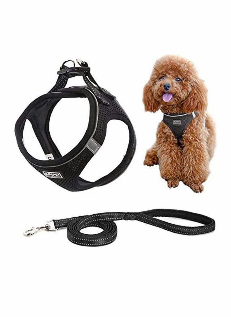 Step-in Air Dog Harness and Leash No Pull, Reflective and Breathable Pet Harness, Adjustable Comfortable Soft Padded Vest Harness Easy Control for Puppy Small Medium Dogs Cats, Black M - Image 1