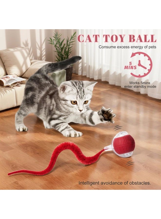 NVTED 2 PCS Interactive Cat Toys for Indoor Cats, Fast Rolling on Carpet Flash and Motion Activated Cat Balls for Bored Indoor Cats - Image 4